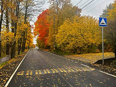 В Красносельском районе завершен ремонт двух проспектов