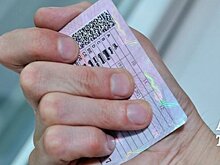 Запись в ГИБДД для замены водительского удостоверения через интернет, сайт ГИБДД и Госуслуги, электронная запись