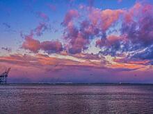 На территории Одессы пассажиры одного из городских трамваев устроили скандал