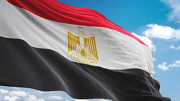 На форуме НБР в Каире обсудили роль Египта в мировой торговле