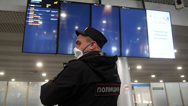 Пьяный россиянин подрался с полицейскими в аэропорту