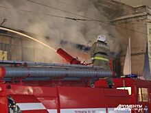 Бизнес в огне. Проверки не спасают от горячих проблем