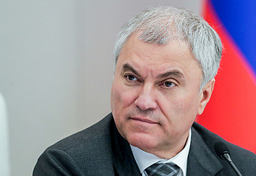 Володин считает верными выводы ИИ о правилах долголетия