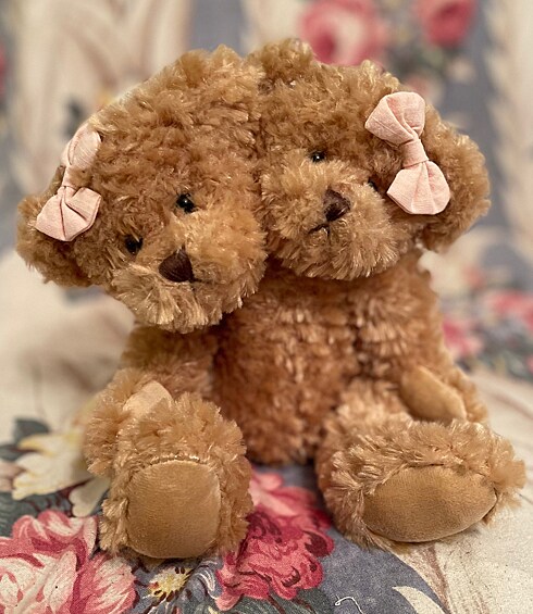 Пожалуй, самый милый странный медвежонок (или медвежата). Хоть игрушка и выглядит необычно, найти ее несложно: таких медвежат часто продают рукодельницы или магазины для представителей субкультур.