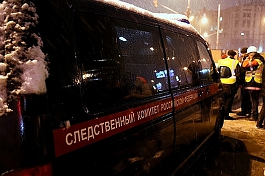 Убийцу двухлетней девочки задержали в Москве