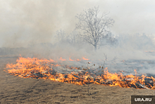 Эколог Хорошилов: с лесными пожарами в Красноярском крае помогают бороться предприниматели