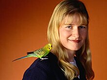 У попугаев и людей оказалась схожа работа мозга, связанная с речью