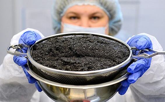 ЕС запретил поставлять в Россию черную икру