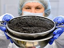 ЕС запретил поставлять в Россию черную икру