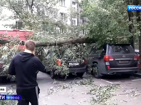 Ветер валил с ног: московский ураган покалечил 15 человек