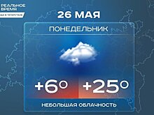Сегодня в Татарстане потеплеет до +25 градусов