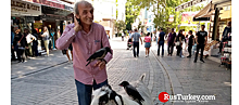 Мужчина с козой в центре Стамбула привлёк внимание туристов (видео)