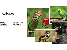 Фотографам National Geographic выдали смартфоны Vivo X300 и X300 Pro