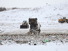 Госэкспертиза одобрила строительство мусорного полигона в Татарстане