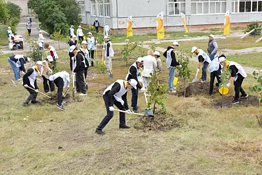 80 молодых лип высадили нефтяники в Сызрани