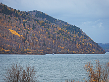 Глава СПЧ Фадеев выступил против сплошной рубки на Байкале