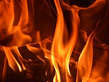 В Марий Эл за прошлую неделю произошло 12 пожаров
