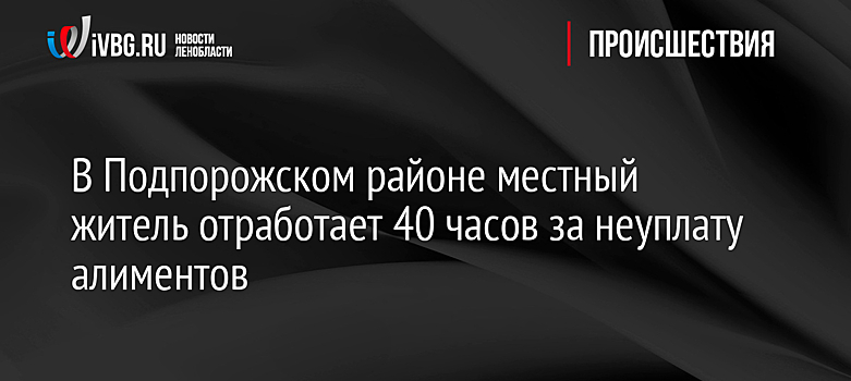 В Подпорожском районе местный житель отработает 40 часов за неуплату алиментов