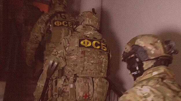 Силовики выложили видеозаписи обысков у организаторов экстремистского движения «Весна»