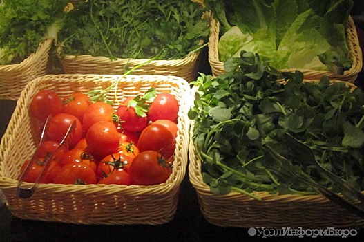 Уральцев накормят своими огурцами и помидорами