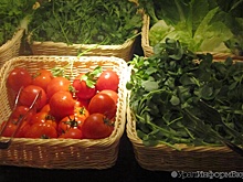 Уральцев накормят своими огурцами и помидорами