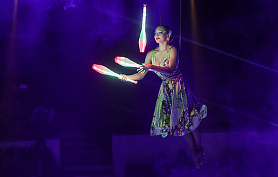 В новогодний период цирки посетили почти 1,4 млн человек