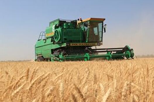 Более миллиона тонн зерна собрали южноуральские аграрии