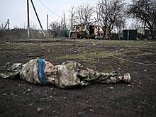 В России заявили о множестве гниющих под Курском солдат ВСУ и выгоде от этого Киеву