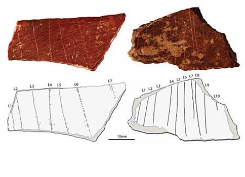 В Китае нашли древнейшие рисунки на костях возраста 105–125 тысяч лет
