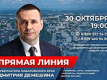 Сегодня Дмитрий Демешин проведет свою первую «Прямую линию»