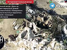 Опубликовано видео ударов по позициям ВСУ у поселка Теткино Курской области