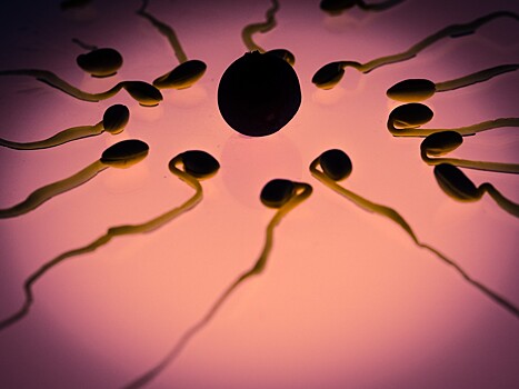 Ученые нашли неизвестные спирали в хвостах сперматозоидов