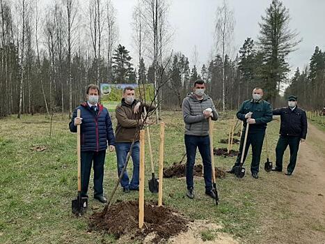 Кто и зачем высаживает «Сады памяти» в Ленинградской области