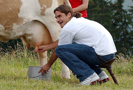 Проект «Доим живую корову» не помог Костроме в первом национальном рейтинге туризма
