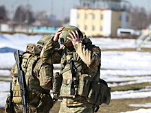 Названа дата наступления ВСУ после хамского выступления Зеленского в Давосе