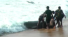 В Шри-Ланке спасли более 100 небольших китов, выбросившихся на берег