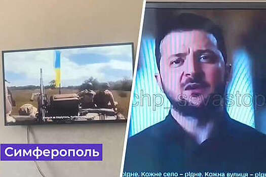 Экс-депутат Рады Царев сравнил с эксгибиционизмом показ Зеленского на российском телевидении