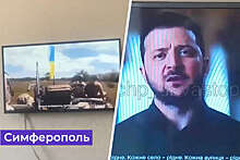 Экс-депутат Рады Царев сравнил с эксгибиционизмом показ Зеленского на российском телевидении