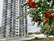 В Тамбове сдали первый арендный дом для студентов