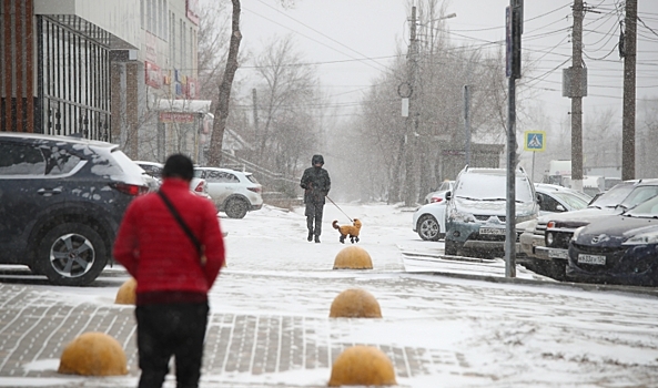 В Волгограде эксперты назвали 8 причин для зимних прогулок