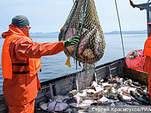 Зачем Норвегия назвала российских рыбаков шпионами