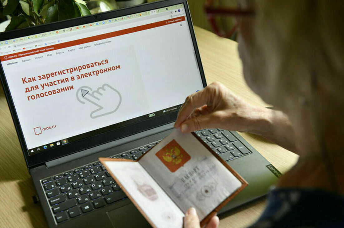 Скриншот предварительного голосования. Проголосовать дистанционно 2024. Проголосовать дистанционно 2024. Дистанционное электронное голосование 2022. Выборы единый день голосования 2021.