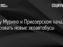 Между Мурино и Приозерском начали курсировать новые экоавтобусы