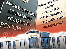 НИИ раздора