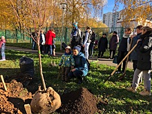 Ясеневцы украсили свой любимый район