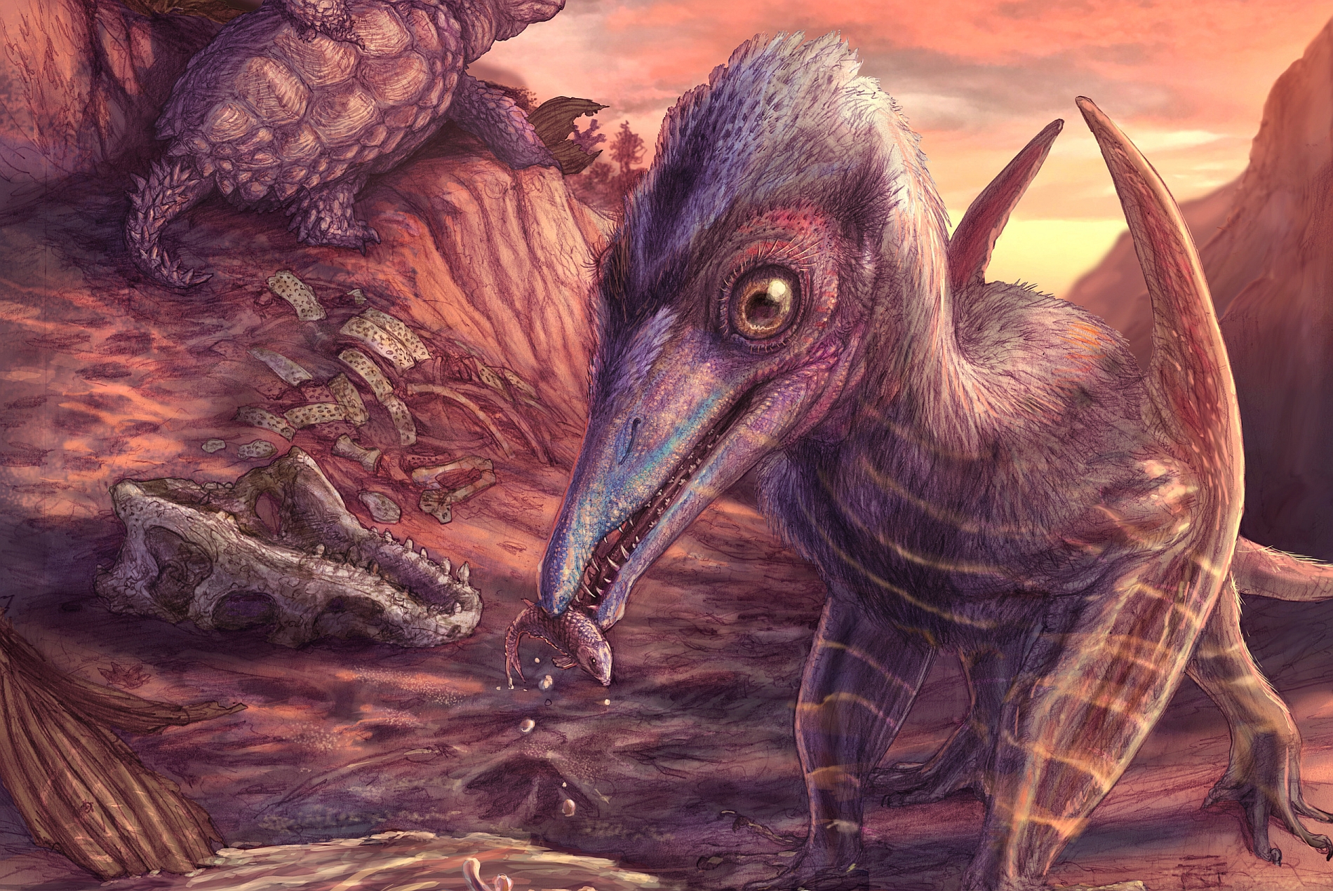 В США обнаружили останки древнейшего птерозавра Северной Америки