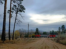В Самарской области 15 и 16 ноября "Ласточки" заменят обычными электричками