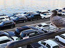 В Приморье изобретают отговорки ради отмены митинга водителей