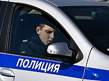 Появились подробности массовой драки из-за родительского чата в Петербурге