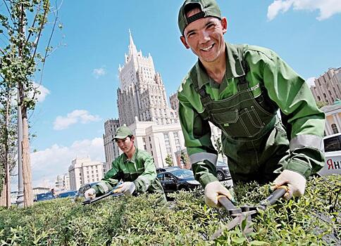 Рабочие высадят 100 кустов лапчатки на территории района Якиманка